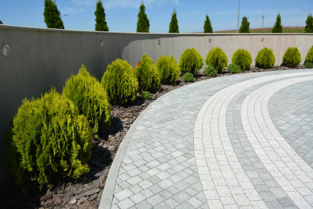 Best Local Driveway Pavers  in Cusseta, GA